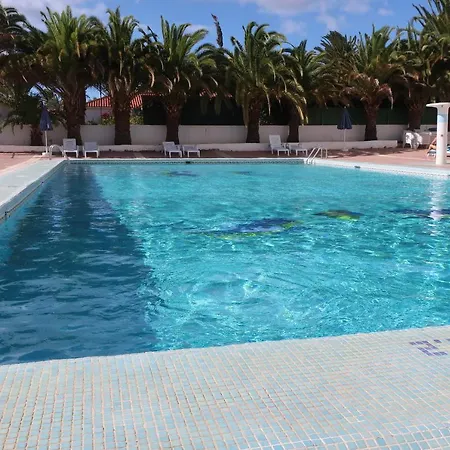 Sunny Teneguia By Yumbo