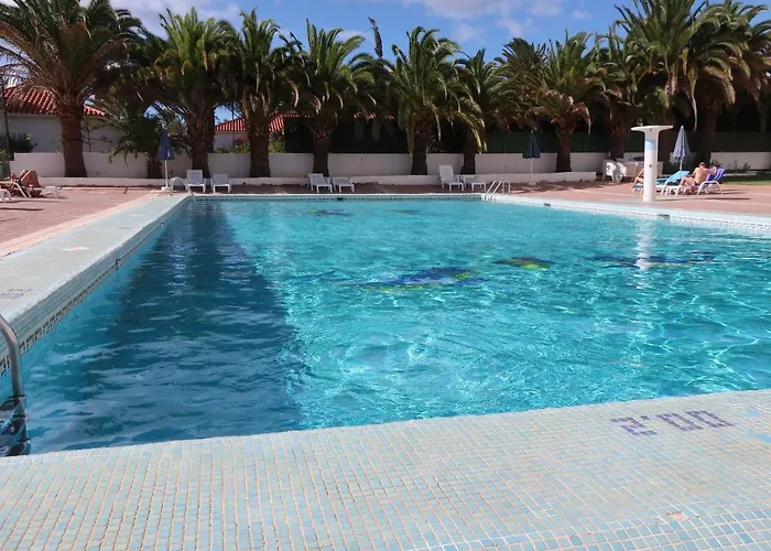 Sunny Teneguia By Yumbo